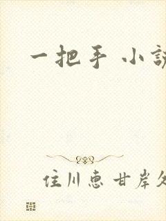 一把手 小说