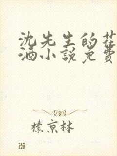 沈先生的花式调酒小说免费阅读