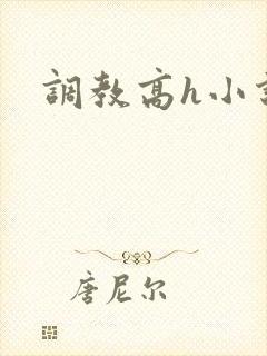 调教高h小说封面