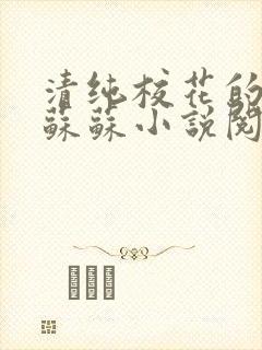 清纯校花的日常苏苏小说阅读全文封面