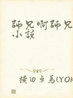 师兄啊师兄原著小说封面