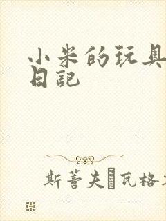 小米的玩具羞辱日记