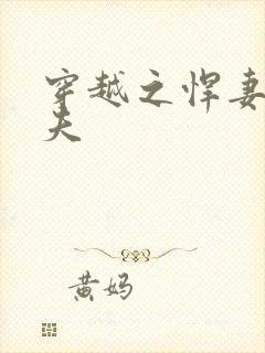 穿越之悍妻共三夫