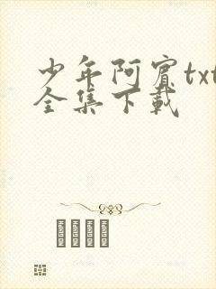 少年阿宾txt全集下载