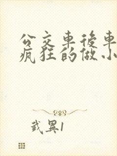 公交车后车座的疯狂的做小封面