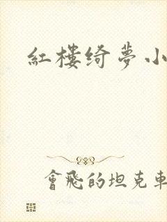 红楼绮梦小说封面