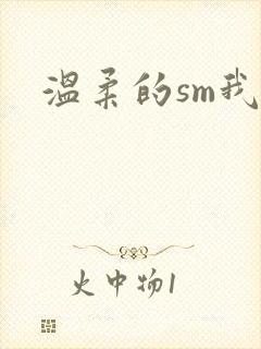 温柔的sm我