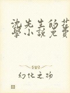 沈先生的花式教学小说免费