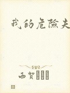 我的危险夫人封面