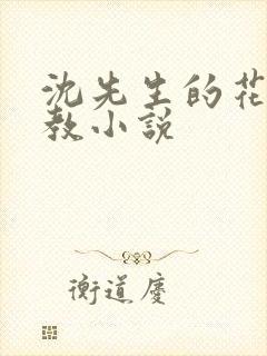 沈先生的花式管教小说