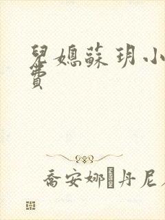 儿媳苏玥小说免费