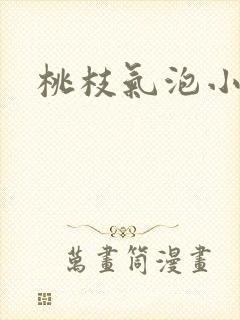 桃枝气泡小说封面