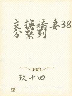 交换娇妻38部分系列