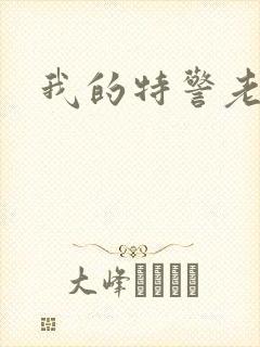 我的特警老婆
