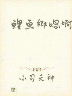 鲤鱼乡嗯啊