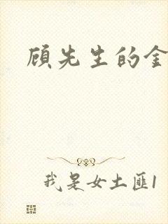 顾先生的金丝雀封面