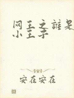 网王之谁是我的小王子封面