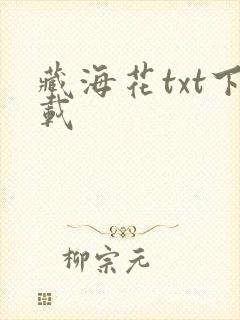 藏海花txt下载封面