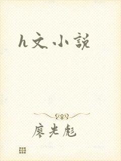 h文小说封面