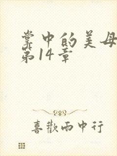 掌中的美母版主第14章