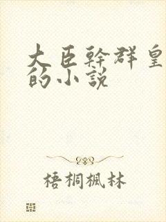 大臣干群皇太后的小说