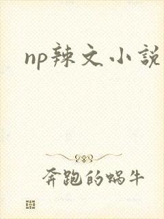 np辣文小说