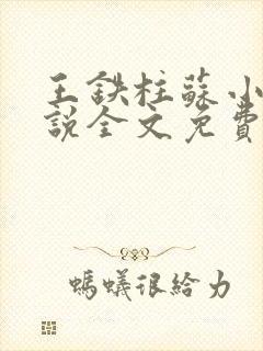 王铁柱苏小汐小说全文免费阅读最新章节