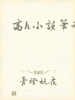 高h小说笔趣阁封面