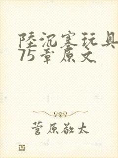 陆沉塞玩具高速75章原文