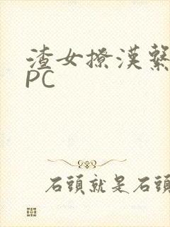 渣女撩汉系统NPC