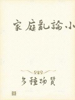 家庭乱论小说