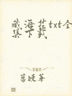 藏海花txt全集下载封面