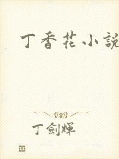 丁香花小说