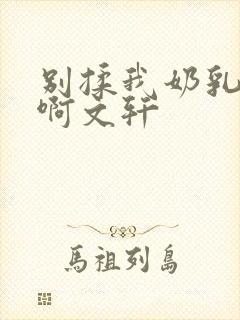 别揉我奶乳嗯～啊文轩