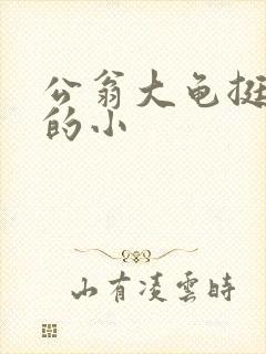 公翁大龟挺进我的小封面