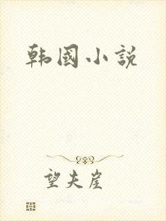 韩国小说封面