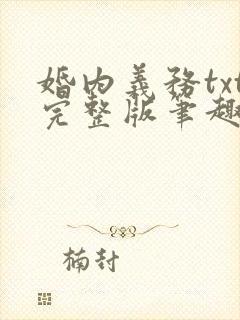 婚内义务txt完整版笔趣阁封面