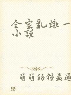 全家乱炖一锅烩小说