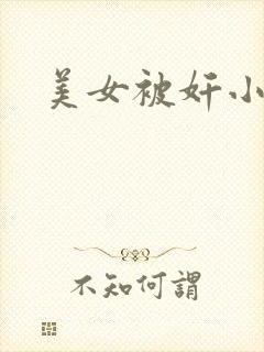 美女被奸小说封面