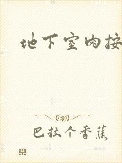 地下室肉按摩椅