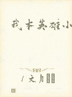 我本英雄小说封面