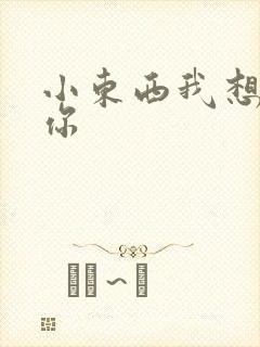 小东西我想弄坏你封面