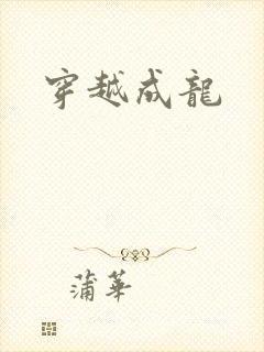 穿越成龙封面