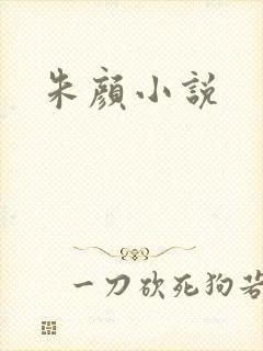 朱颜小说