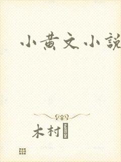 小黄文小说