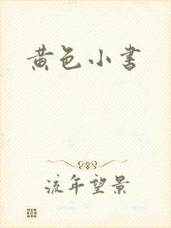 黄色小书