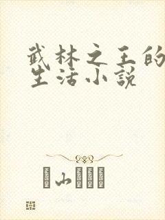 武林之王的退隐生活小说