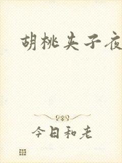 胡桃夹子夜未眠