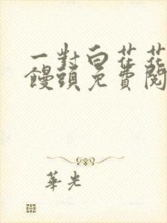 一对白花花的大馒头免费阅读