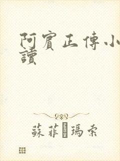 阿宾正传小说在读